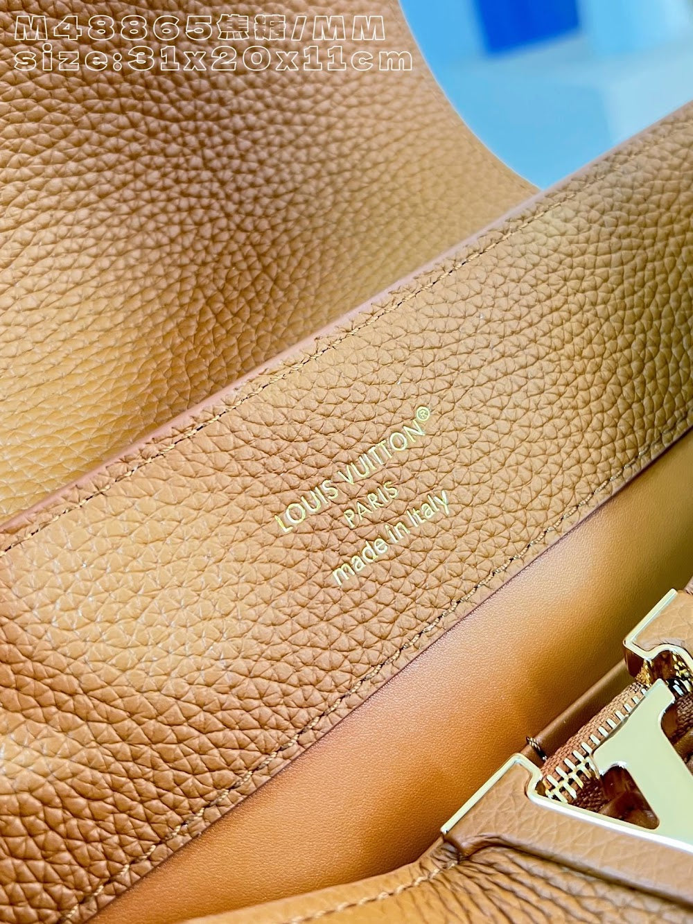Dragons Bags ln Luxury Bag --95846