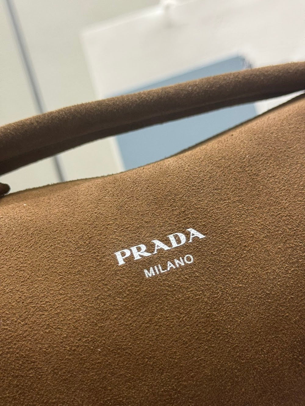 Dragons Bags Pradn Luxury Bag --101337