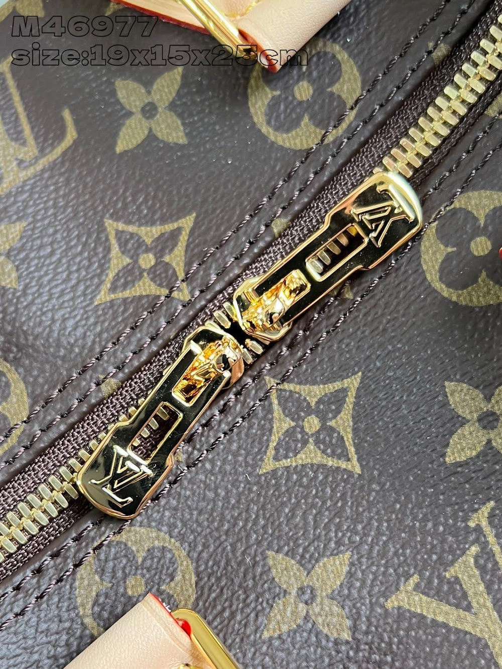 Dragons Bags ln Luxury Bag --96366