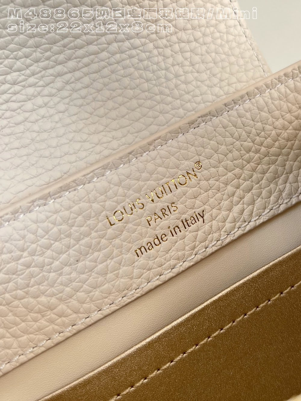 Dragons Bags ln Luxury Bag --95853