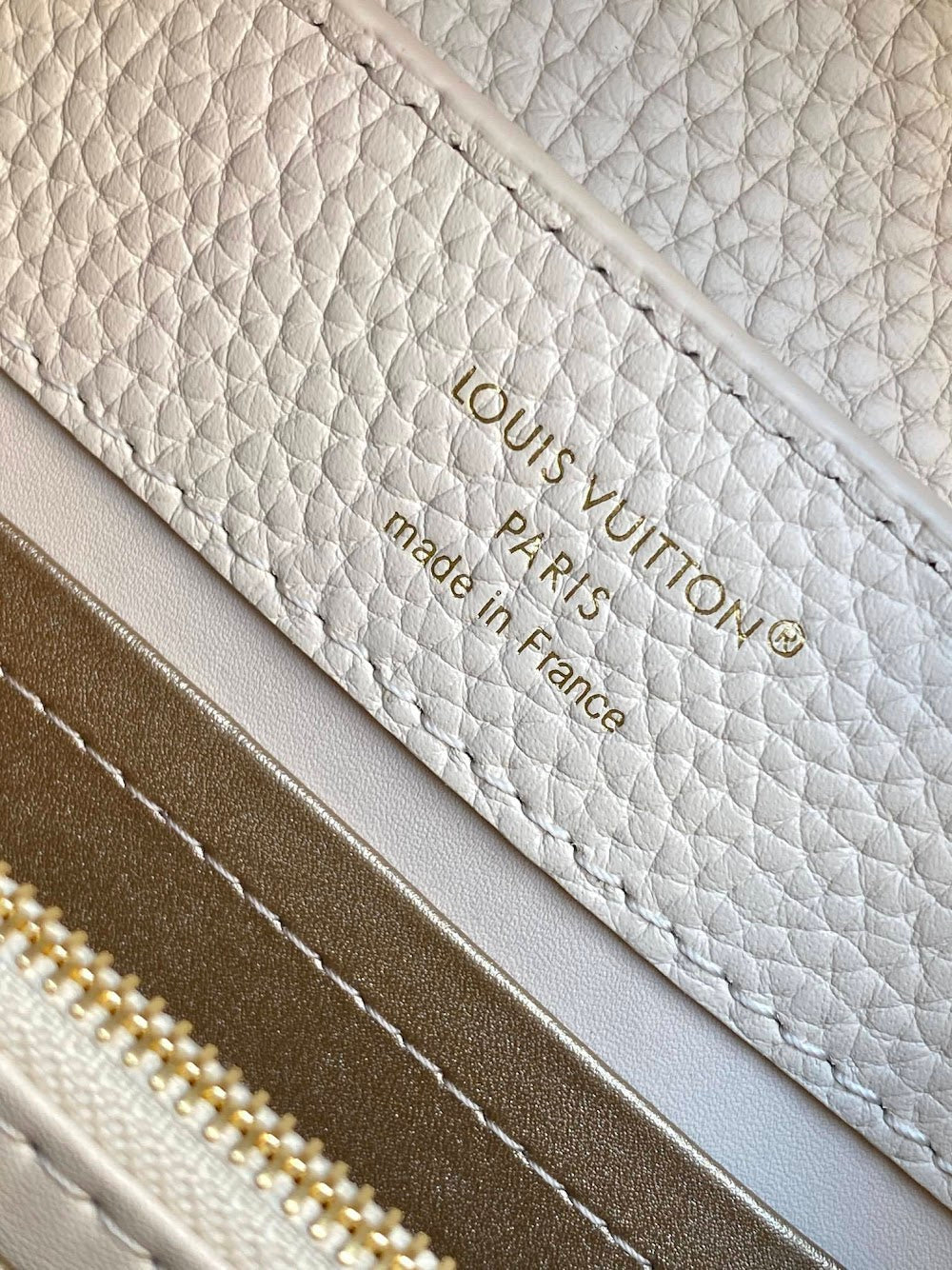 Dragons Bags ln Luxury Bag --96161