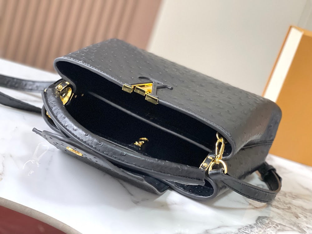 Dragons Bags LVn Luxury Bag --79224