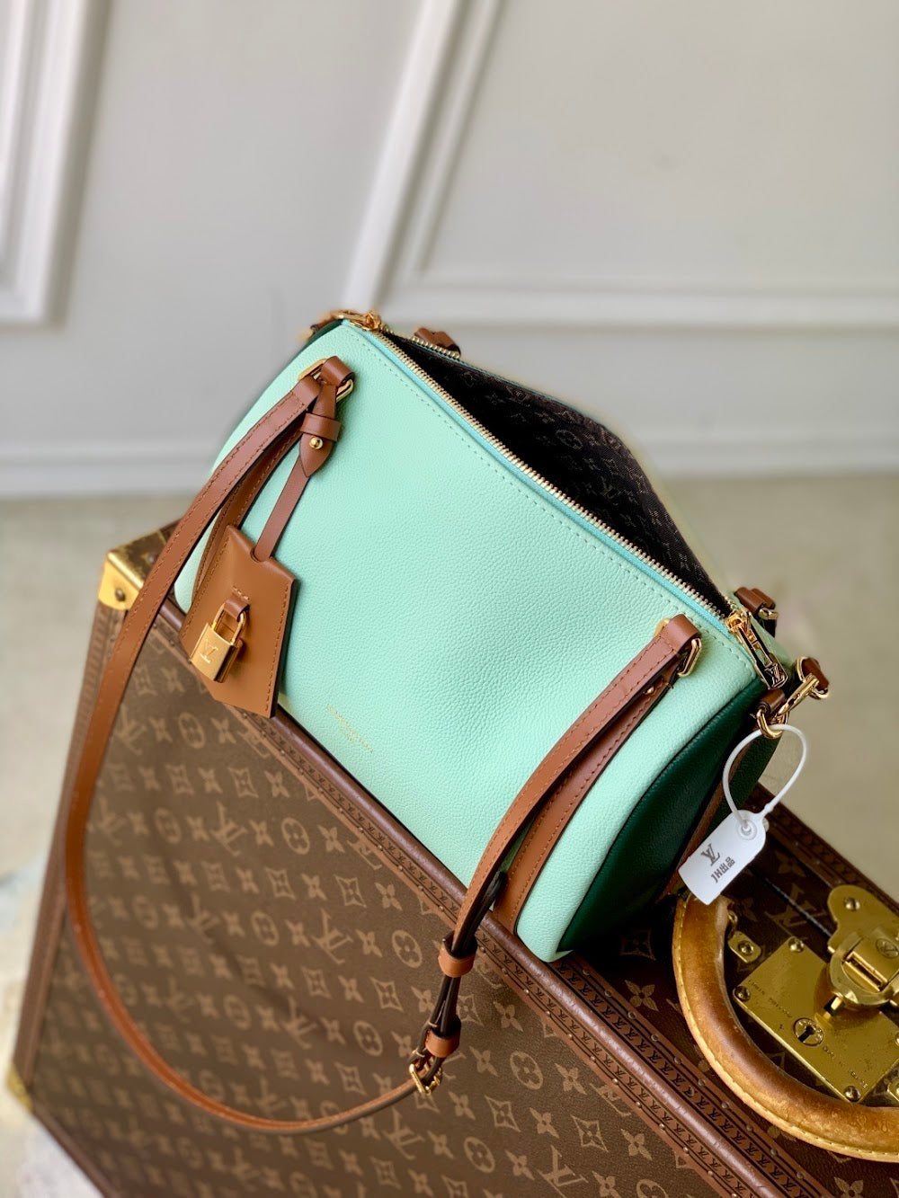 Dragons Bags ln Luxury Bag --96701