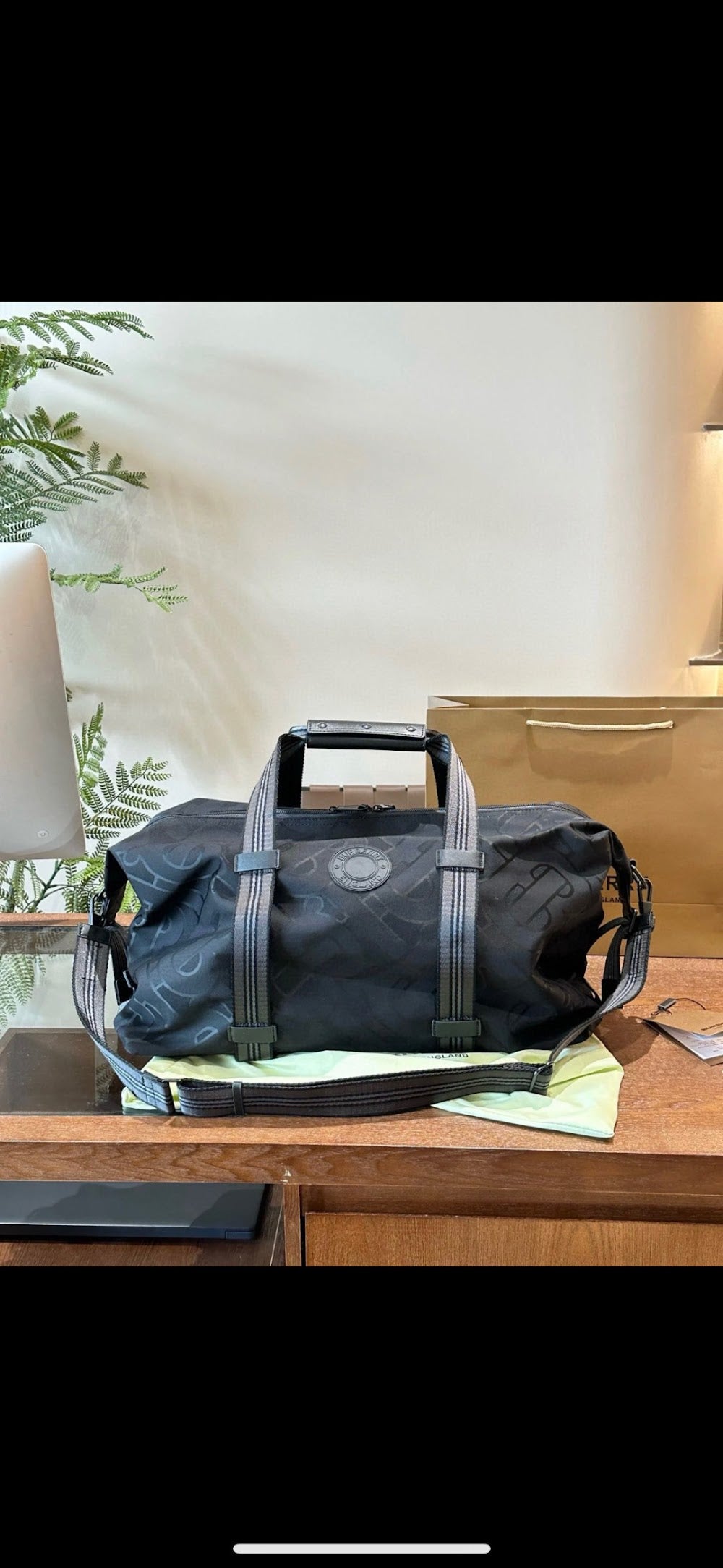 Dragons Bags Burberryn Luxury Bag --91647