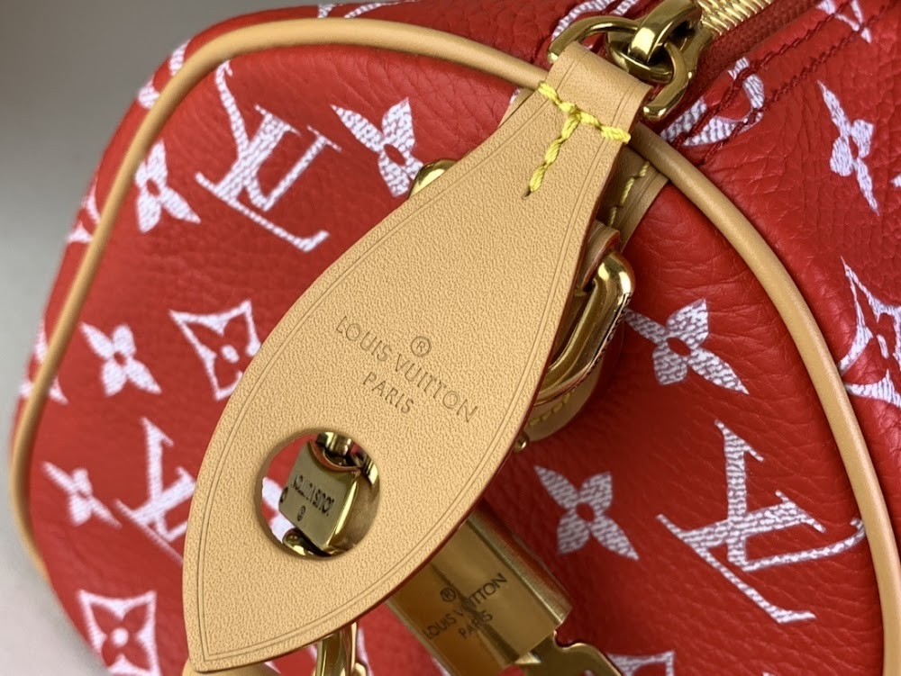 Dragons Bags ln Luxury Bag --69103