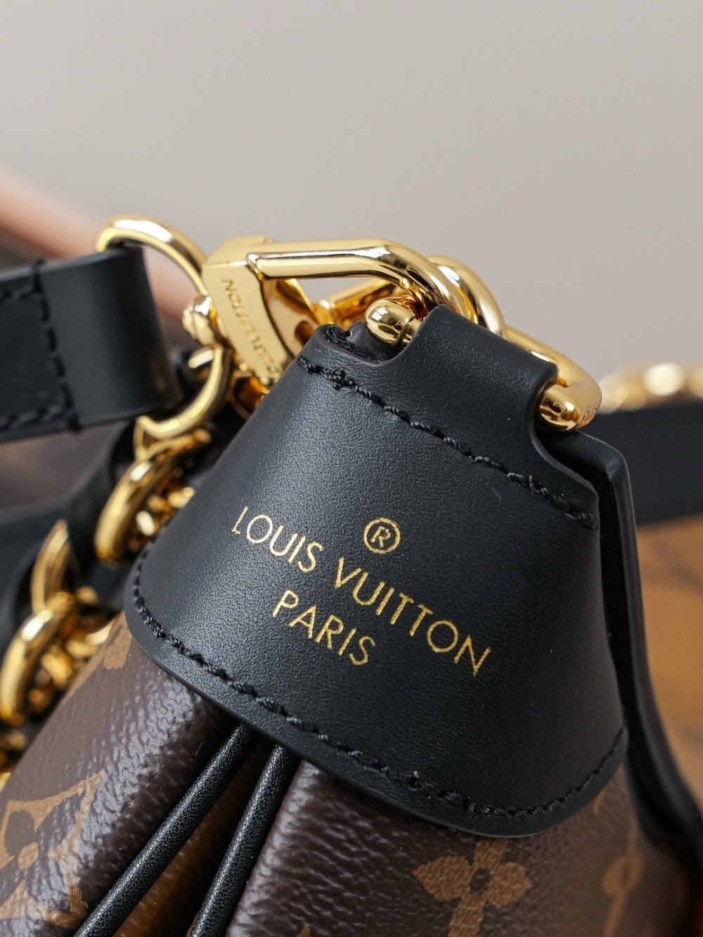 Dragons Bags LVn Luxury Bag --80549