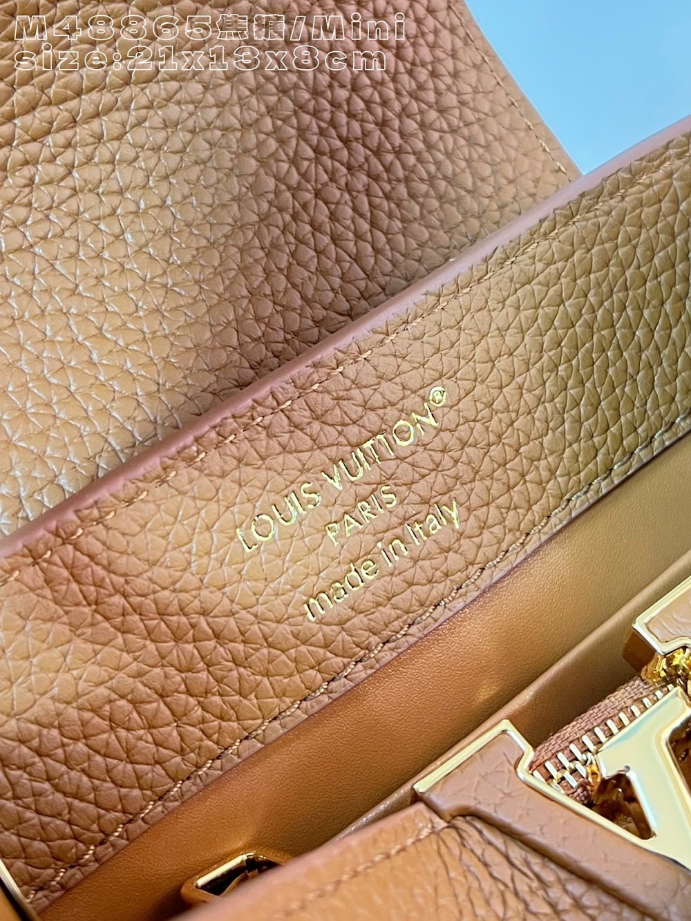 Dragons Bags ln Luxury Bag --95848