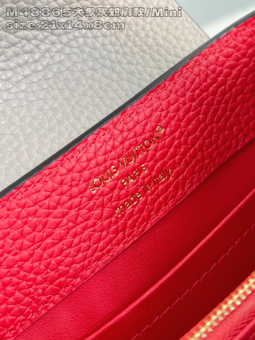 Dragons Bags ln Luxury Bag --95681