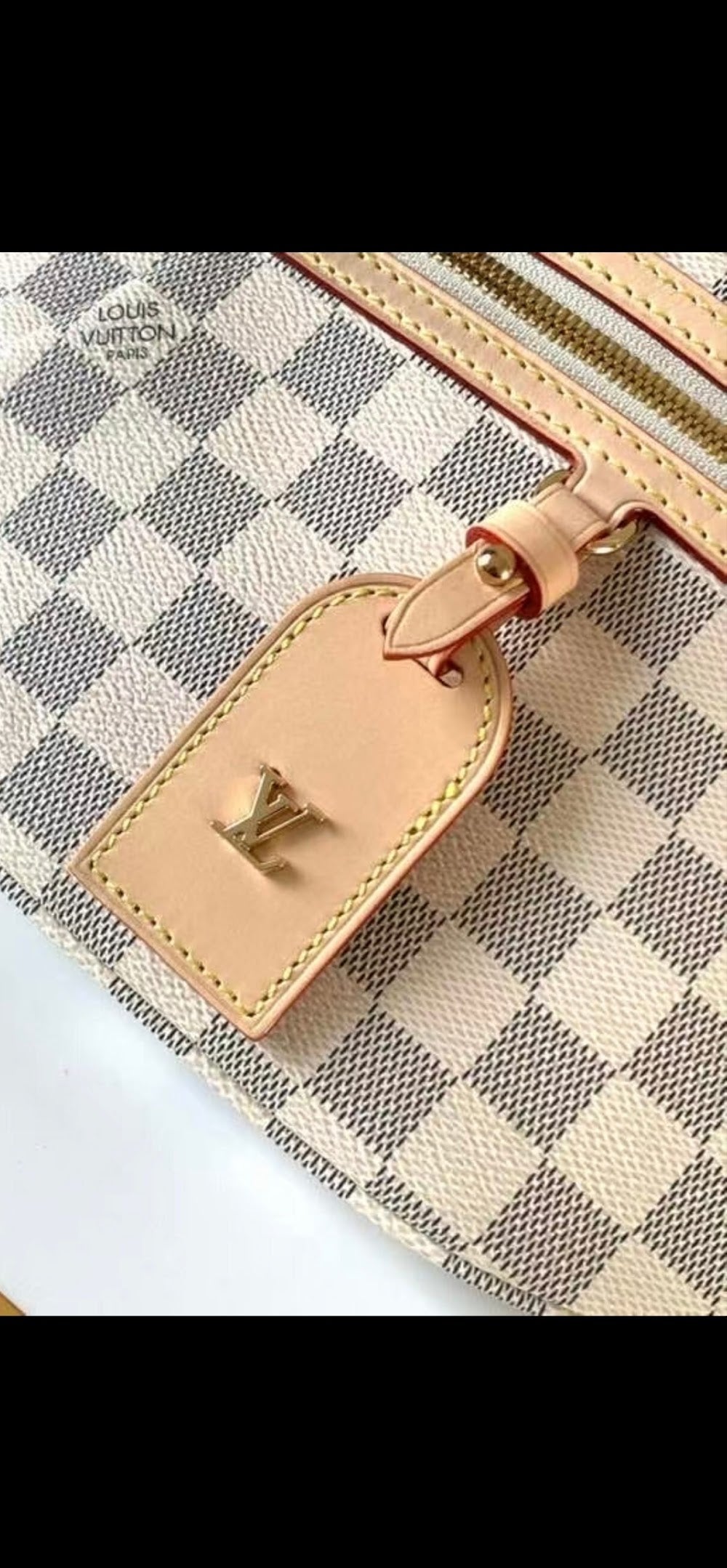 Dragons Bags ln Luxury Bag --77383