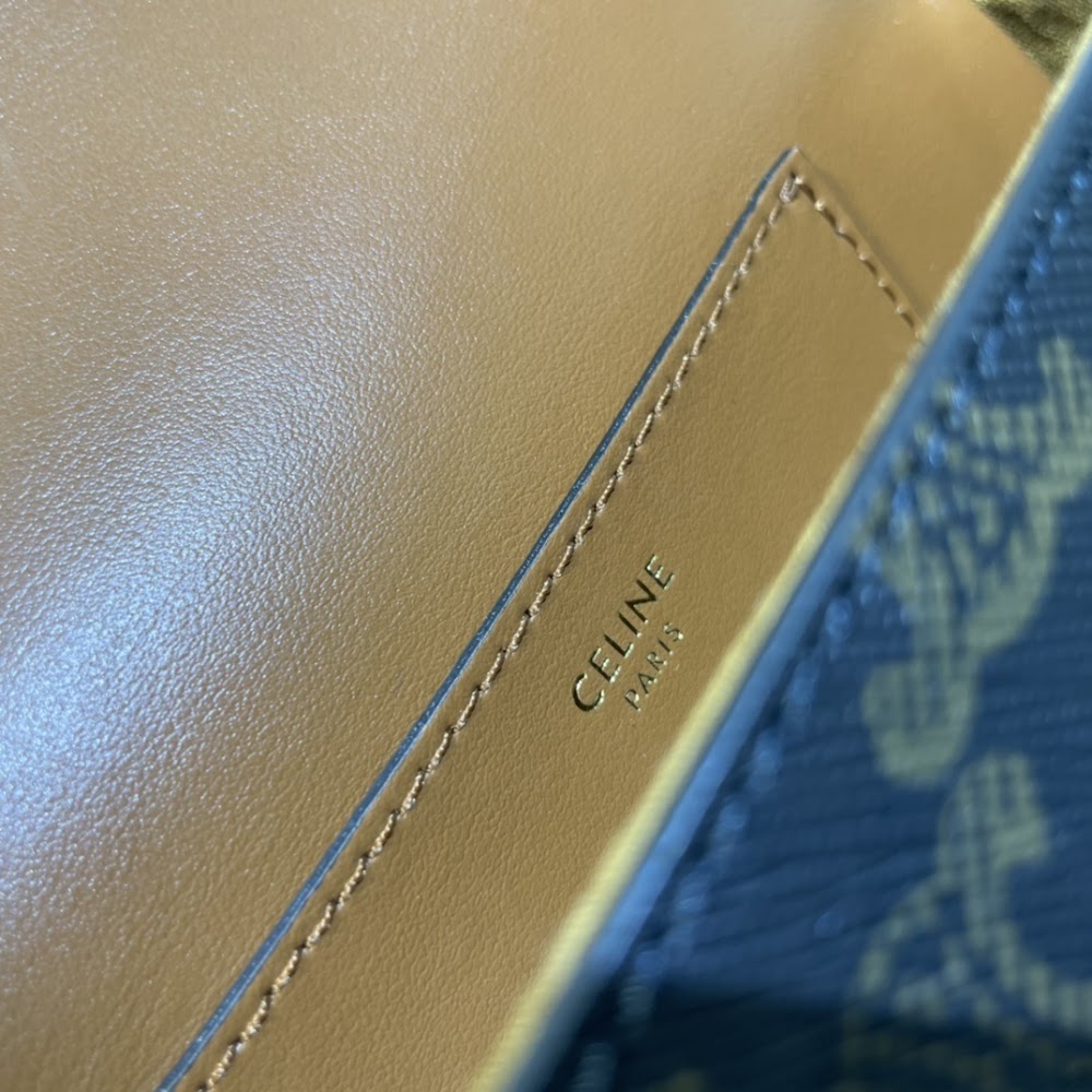 Dragons Bags Celine Luxury Bag --112263