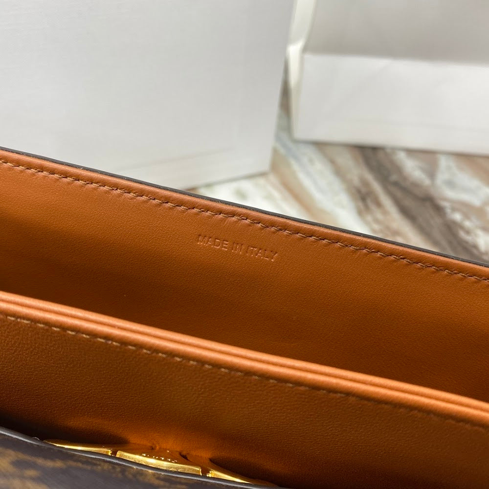 Dragons Bags Celine Luxury Bag --112495