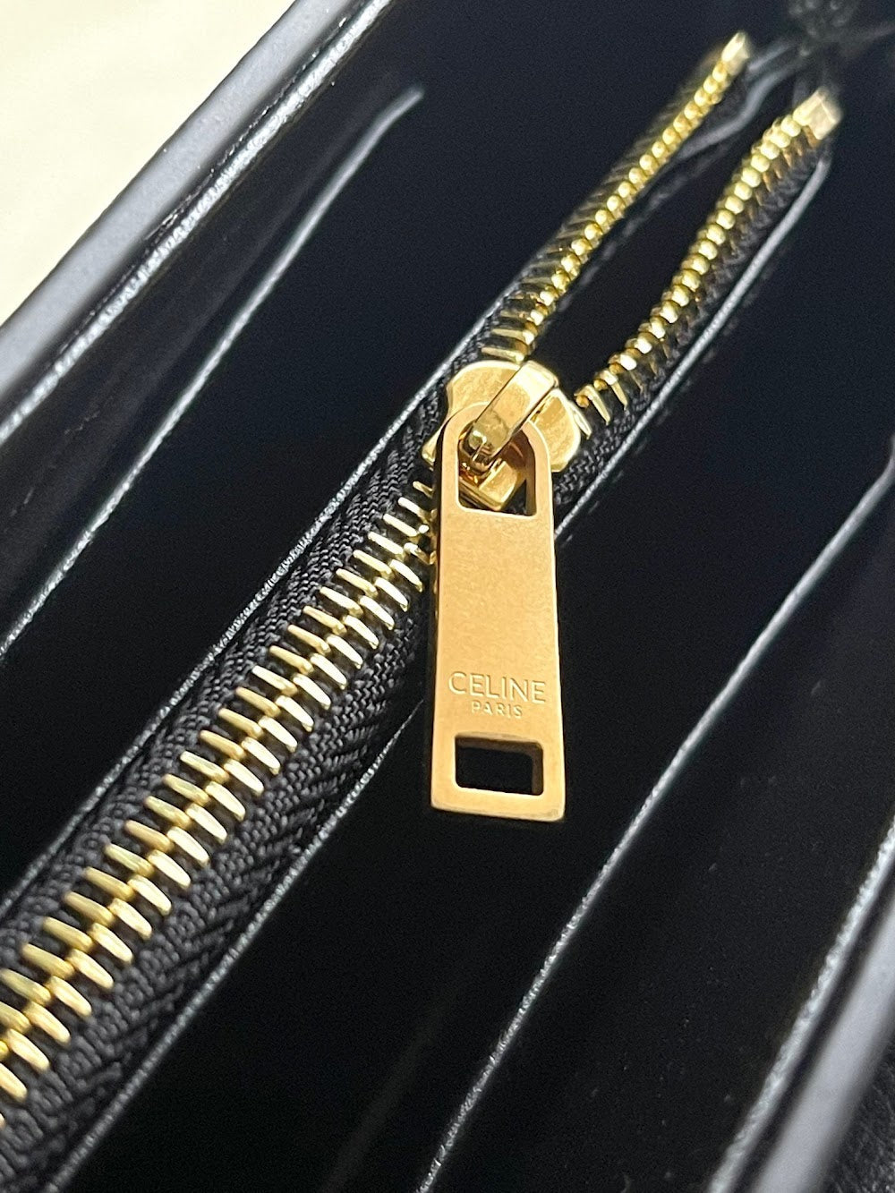 Dragons Bags Celine Luxury Bag --112330
