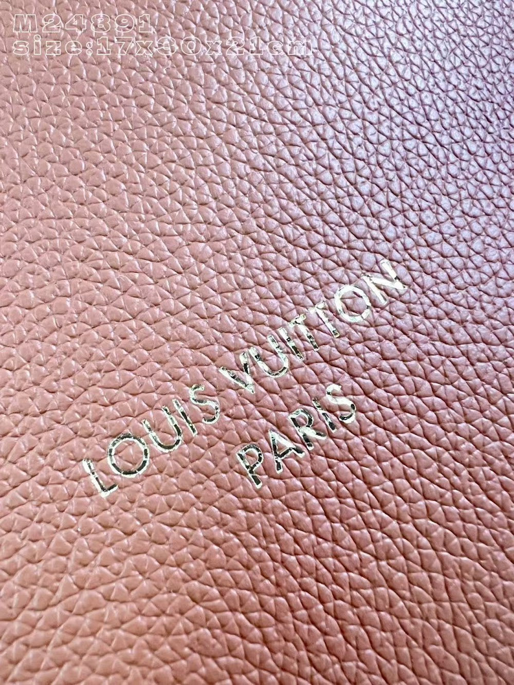 Dragons Bags ln Luxury Bag --96694