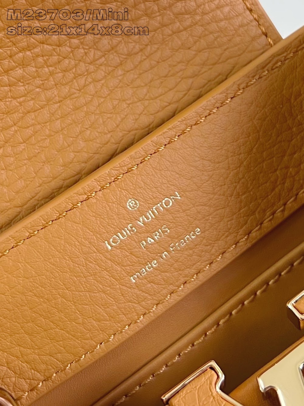 Dragons Bags ln Luxury Bag --97482