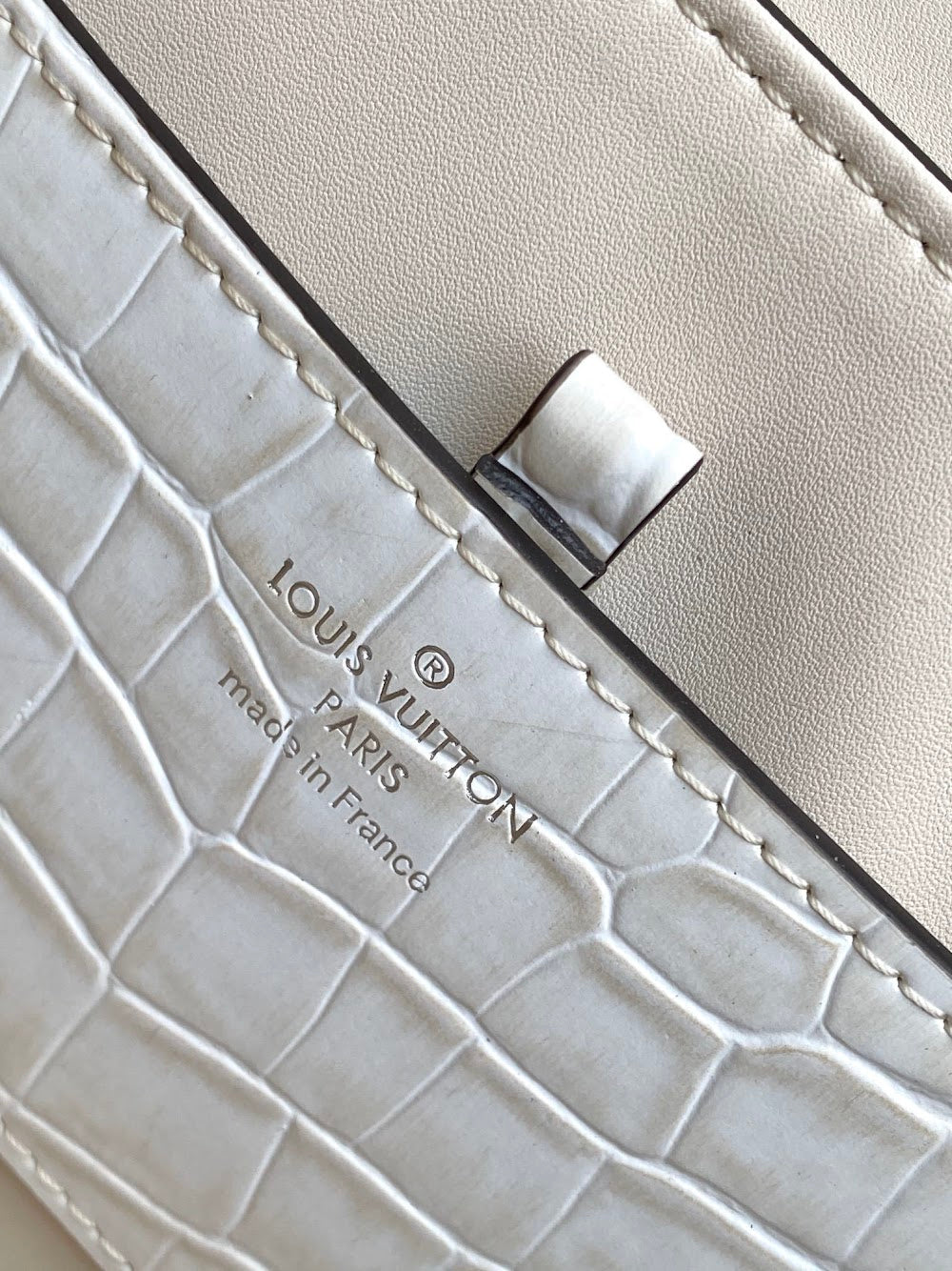 Dragons Bags ln Luxury Bag --96264