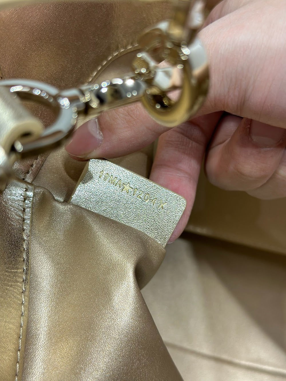 Dragons BagsDiorn Luxury Bag --115517