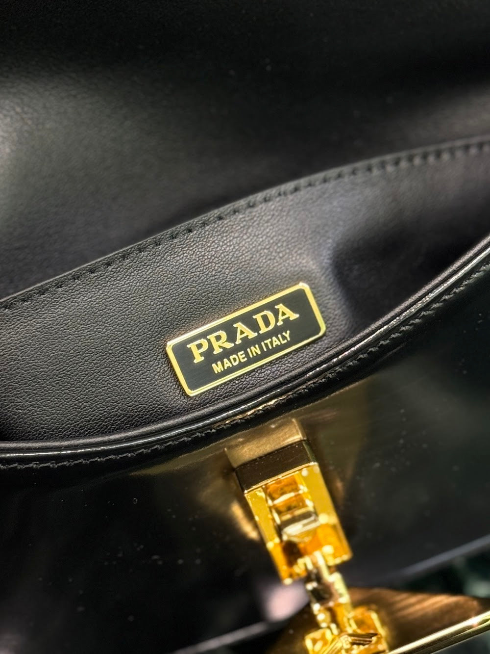 Dragons Bags Pradn Luxury Bag --101648