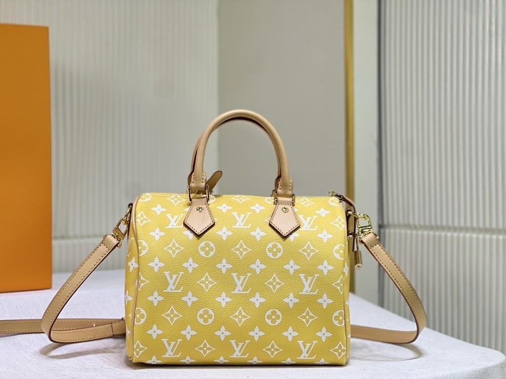 Dragons Bags LVn Luxury Bag --80049