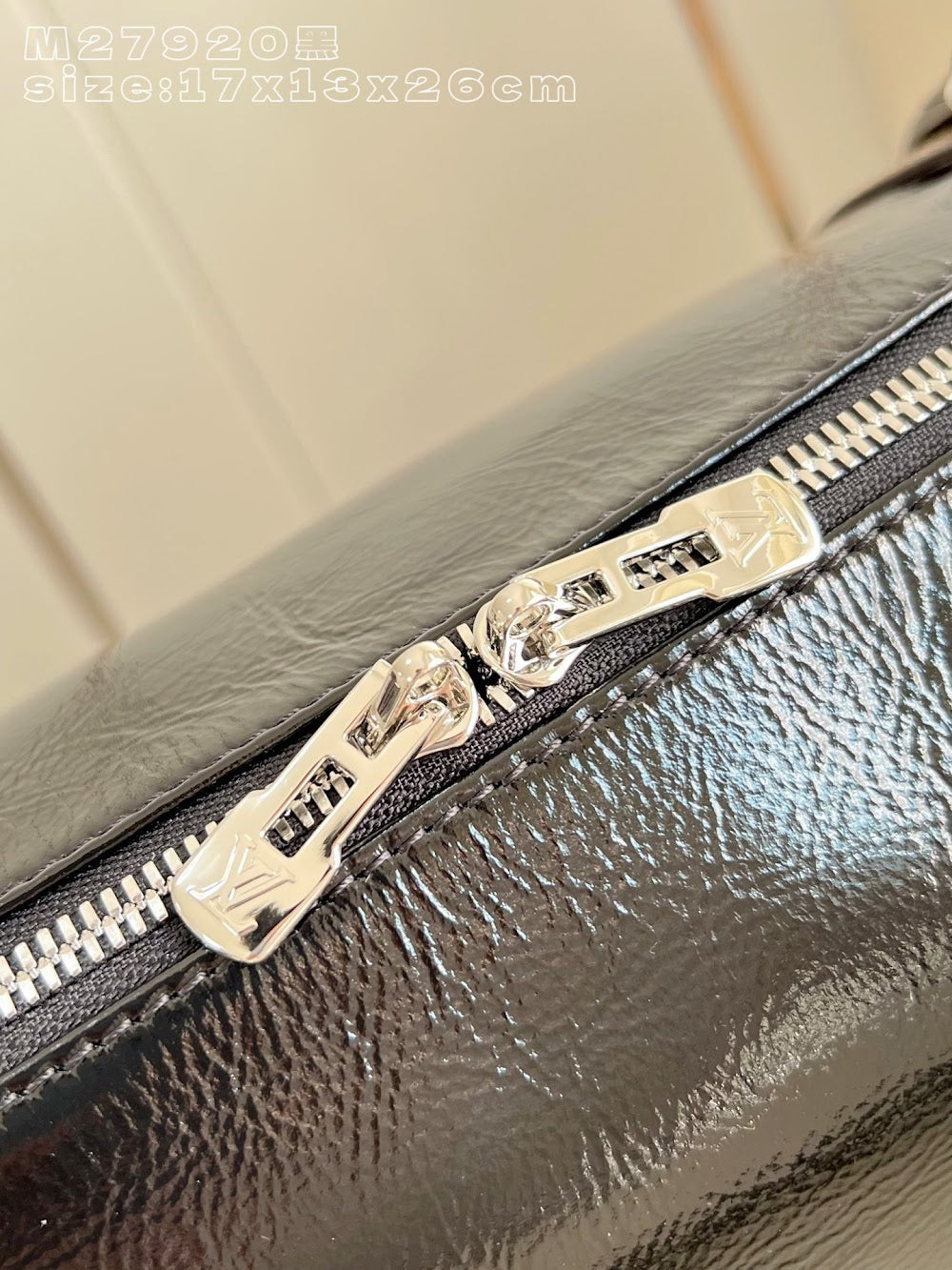 Dragons Bags ln Luxury Bag --95836