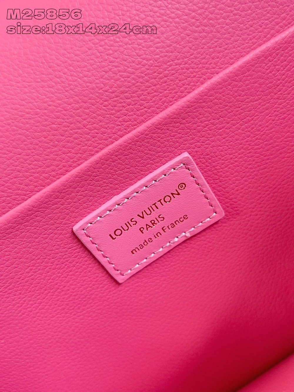 Dragons Bags ln Luxury Bag --96900