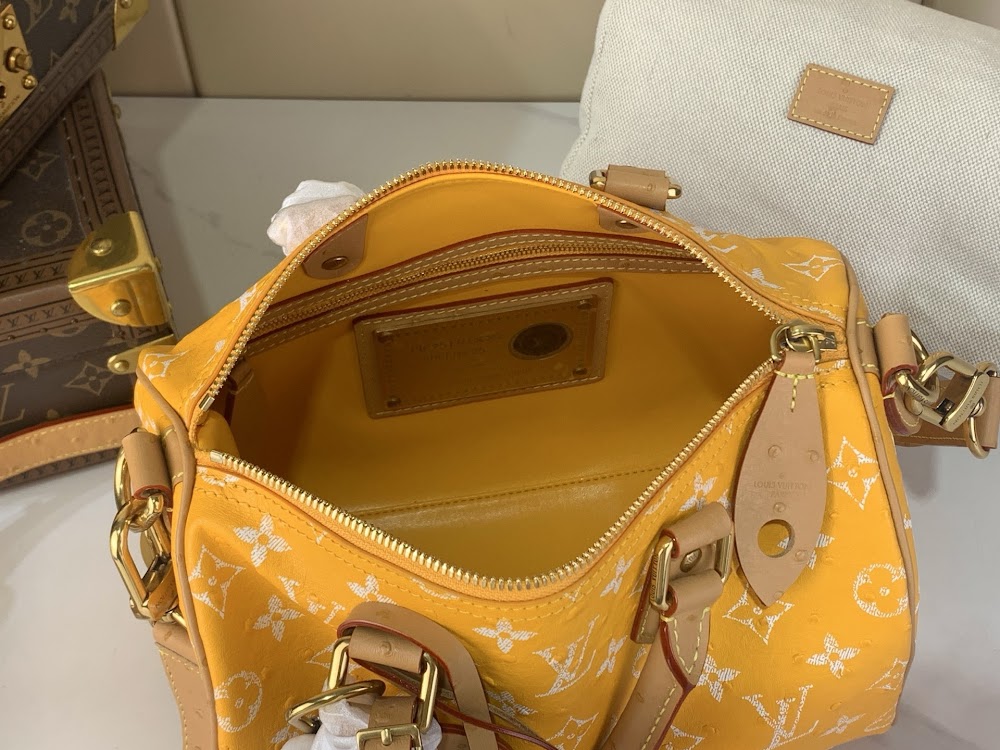 Dragons Bags ln Luxury Bag --97587
