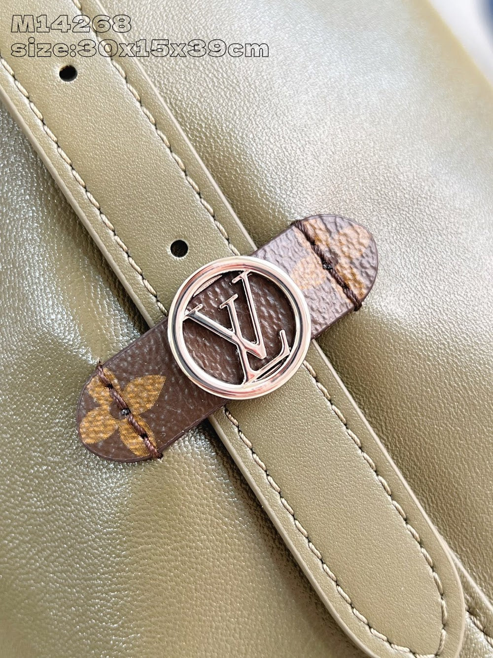 Dragons Bags ln Luxury Bag --96976
