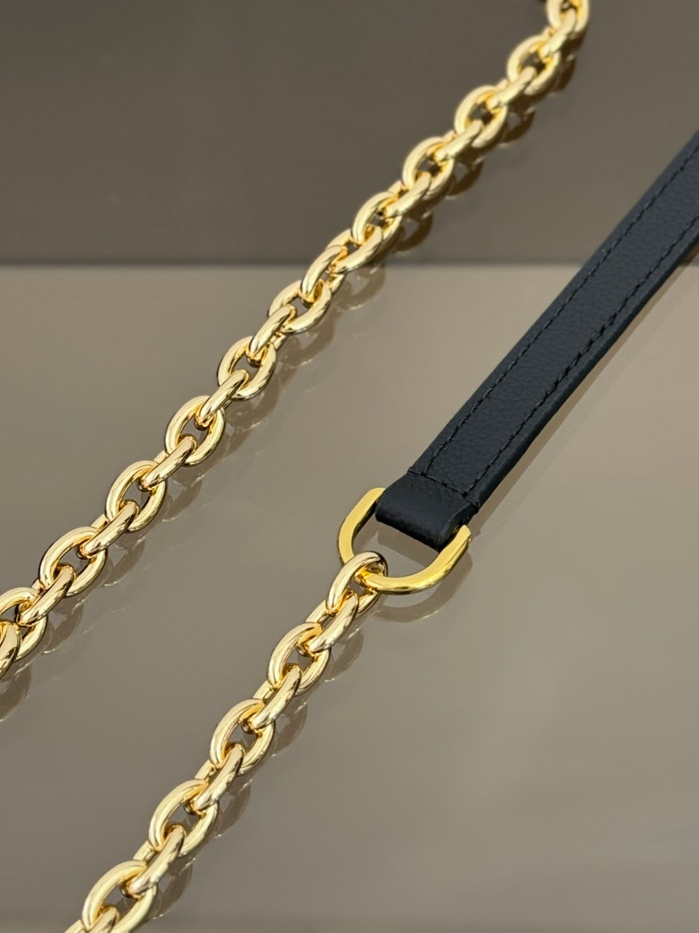 Dragons Bags ln Luxury Bag --96289