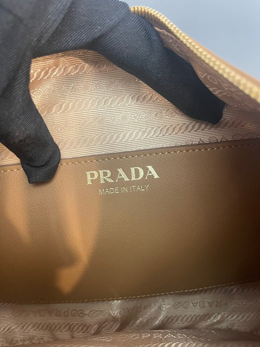 Dragons Bags Pradn Luxury Bag --102601