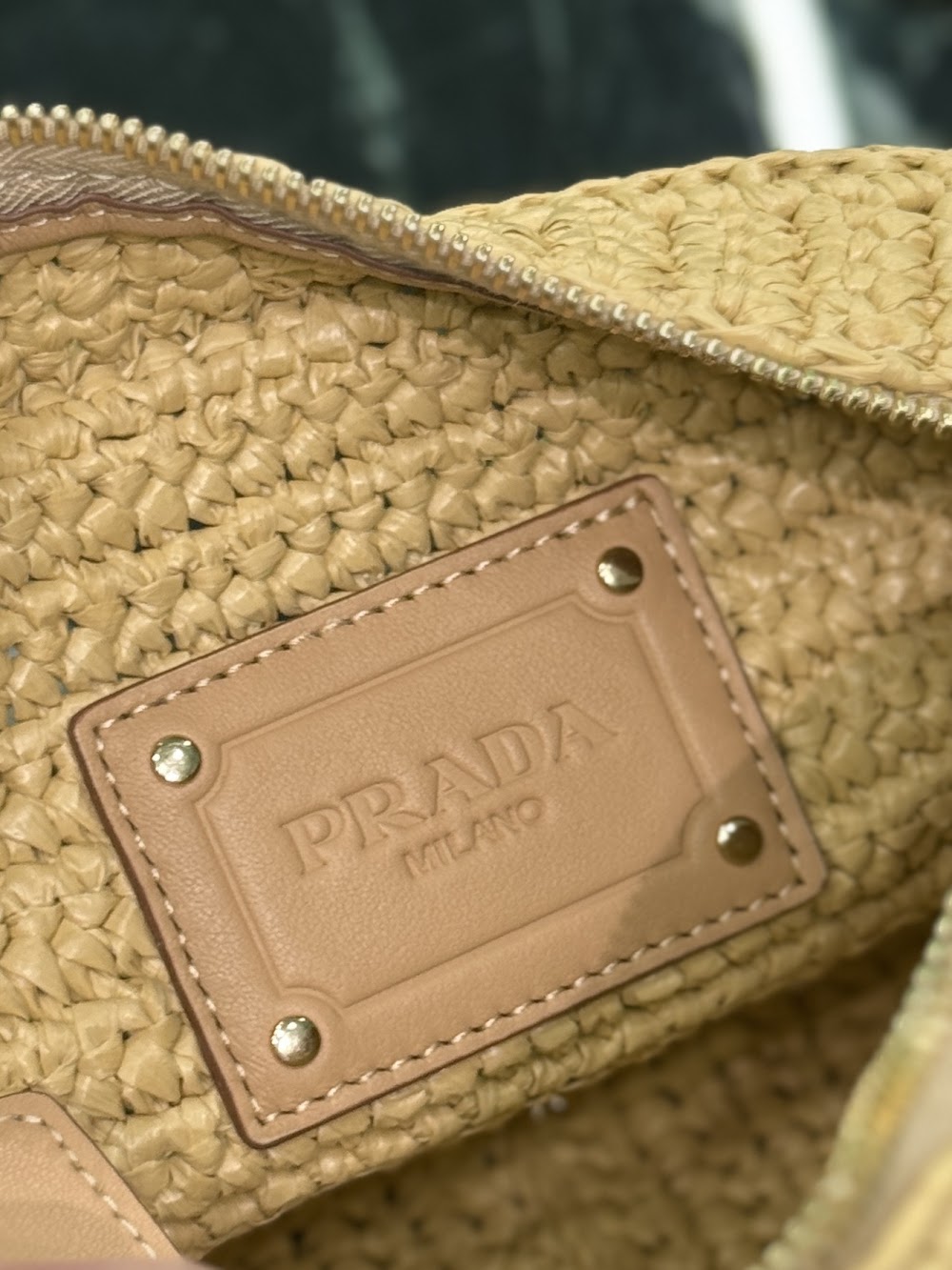 Dragons Bags Pradn Luxury Bag --102081