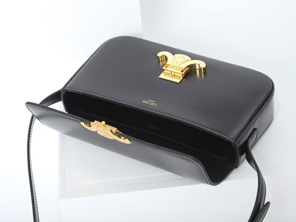 Dragons Bags Celine Luxury Bag --112157