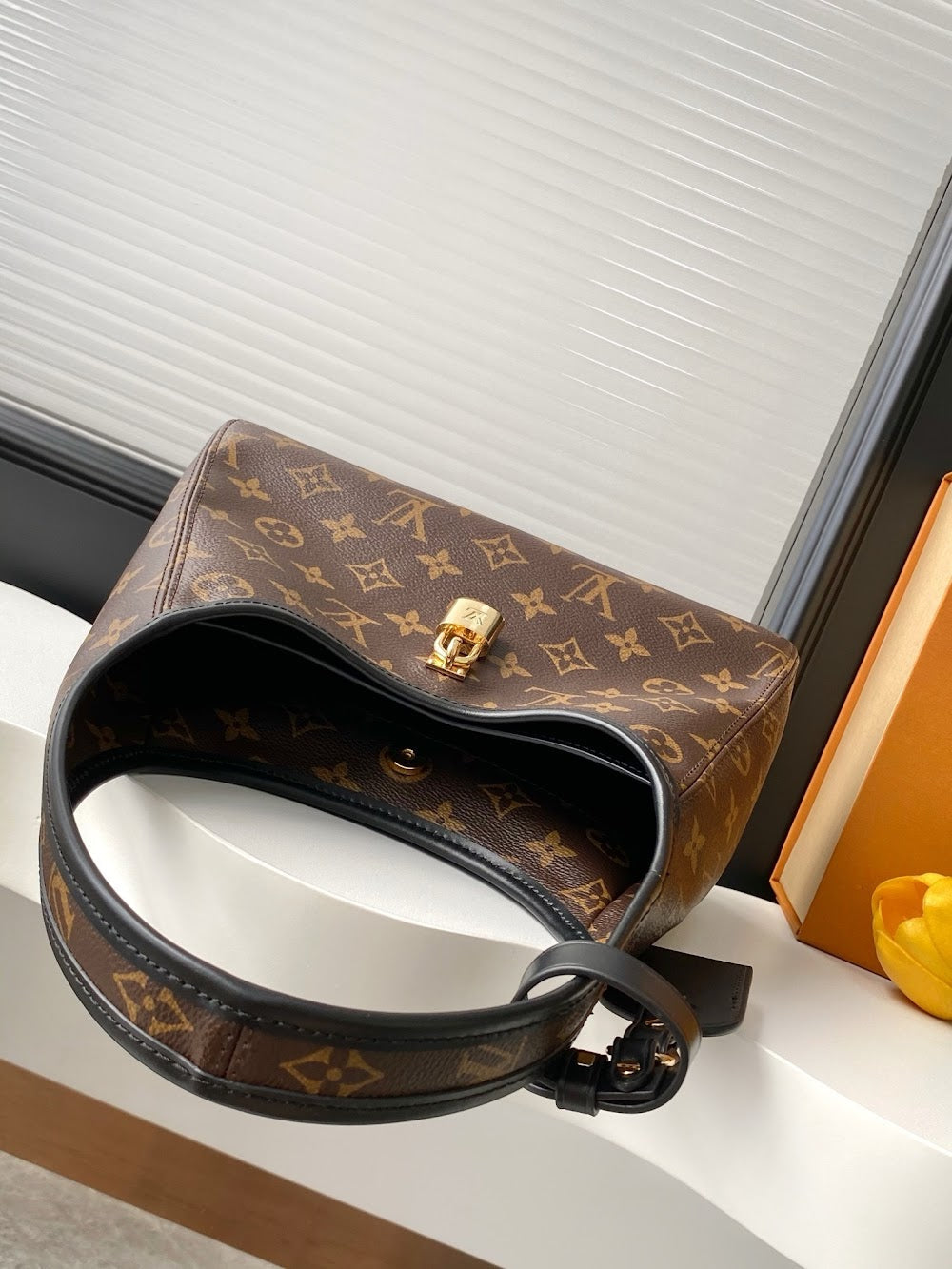 Dragons Bags LVn Luxury Bag --79675