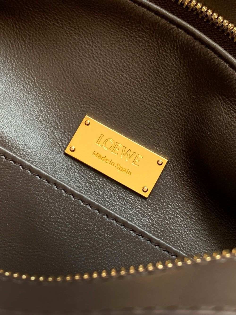 Dragons Bags Lowen Luxury Bag --99950