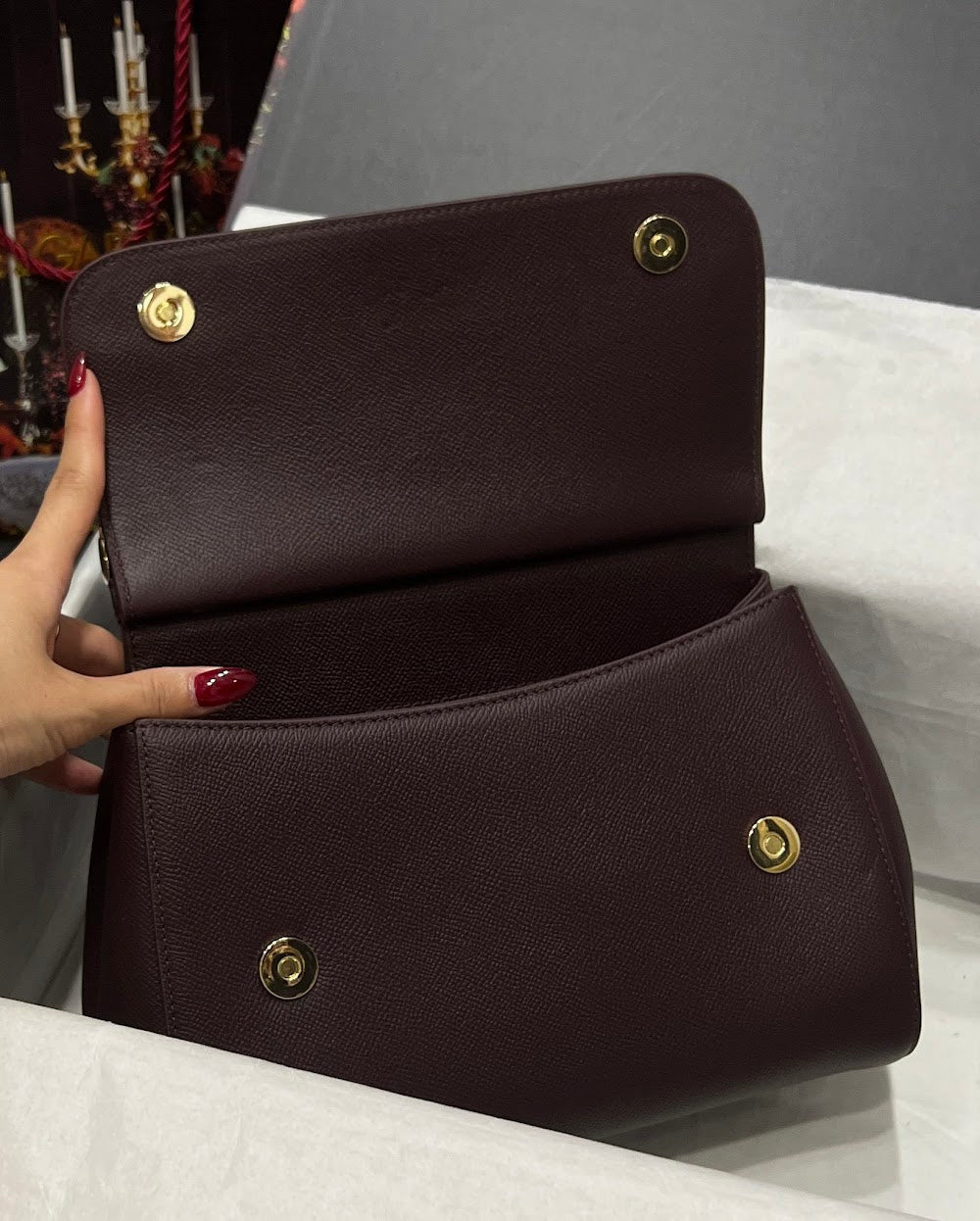 Dragons Bags DGn Luxury Bag --93385