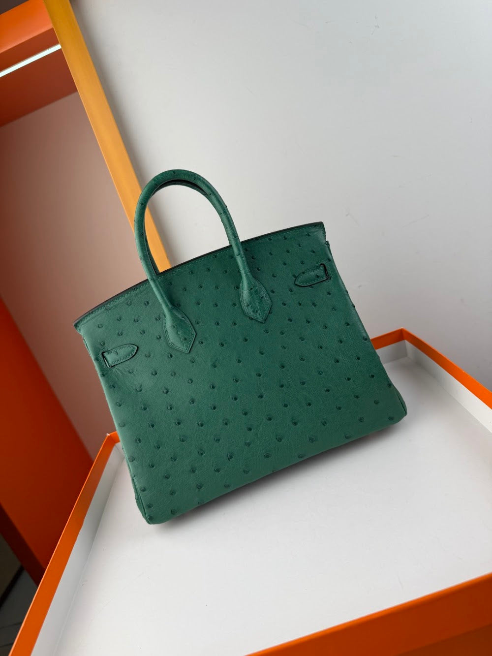 Dragons BagsHermesn Luxury Bag --116765
