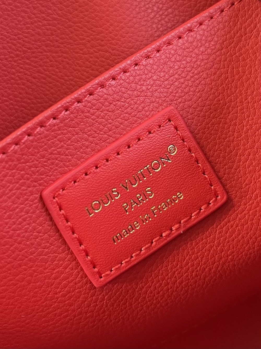 Dragons Bags ln Luxury Bag --96935