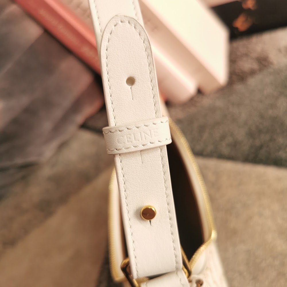 Dragons Bags Celine Luxury Bag --111970