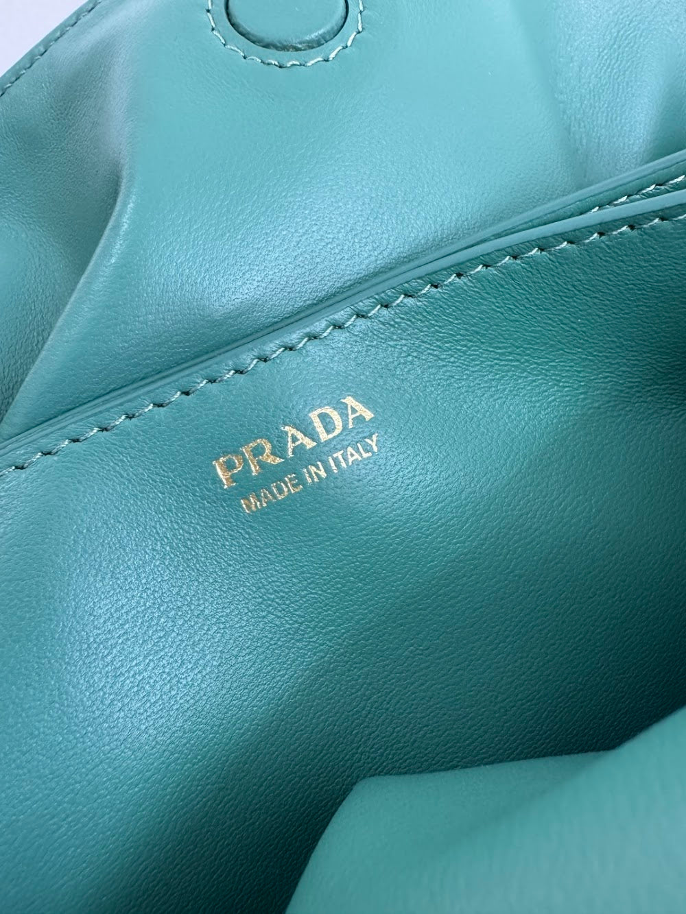 Dragons Bags Pradn Luxury Bag --101582