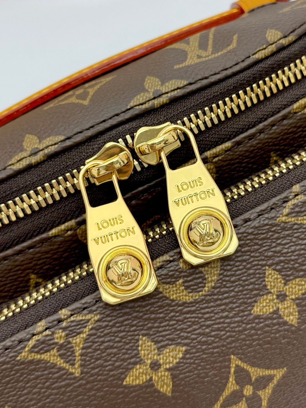 Dragons Bags LVn Luxury Bag --79811