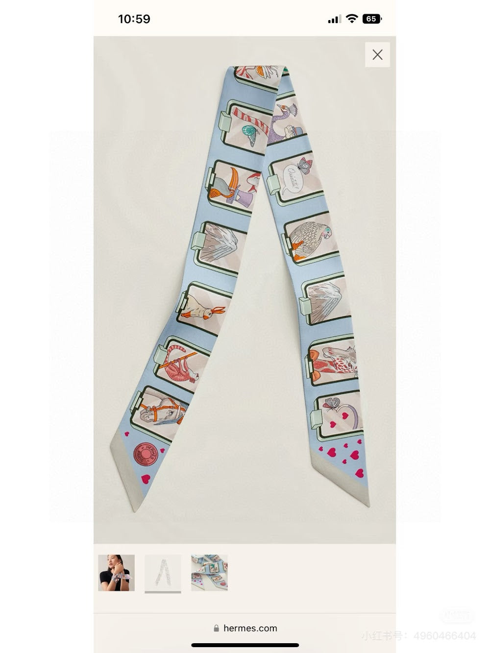 Dragons Bags Premium Designer Scarf --99332