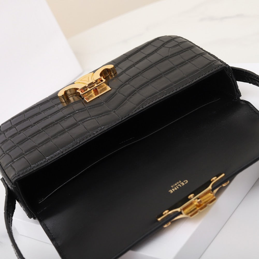 Dragons Bags Celine Luxury Bag --112151