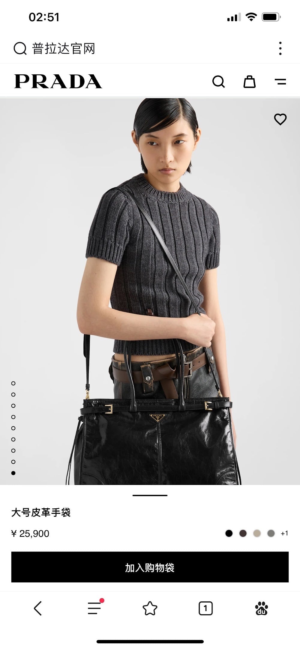 Dragons Bags Pradn Luxury Bag --102608