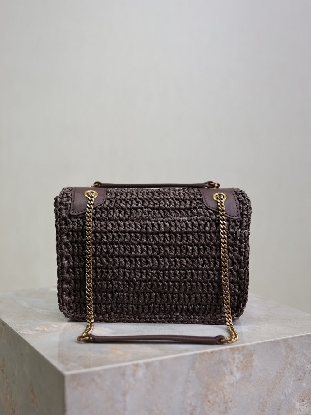 Dragons Bags YSLn Luxury Bag --119852