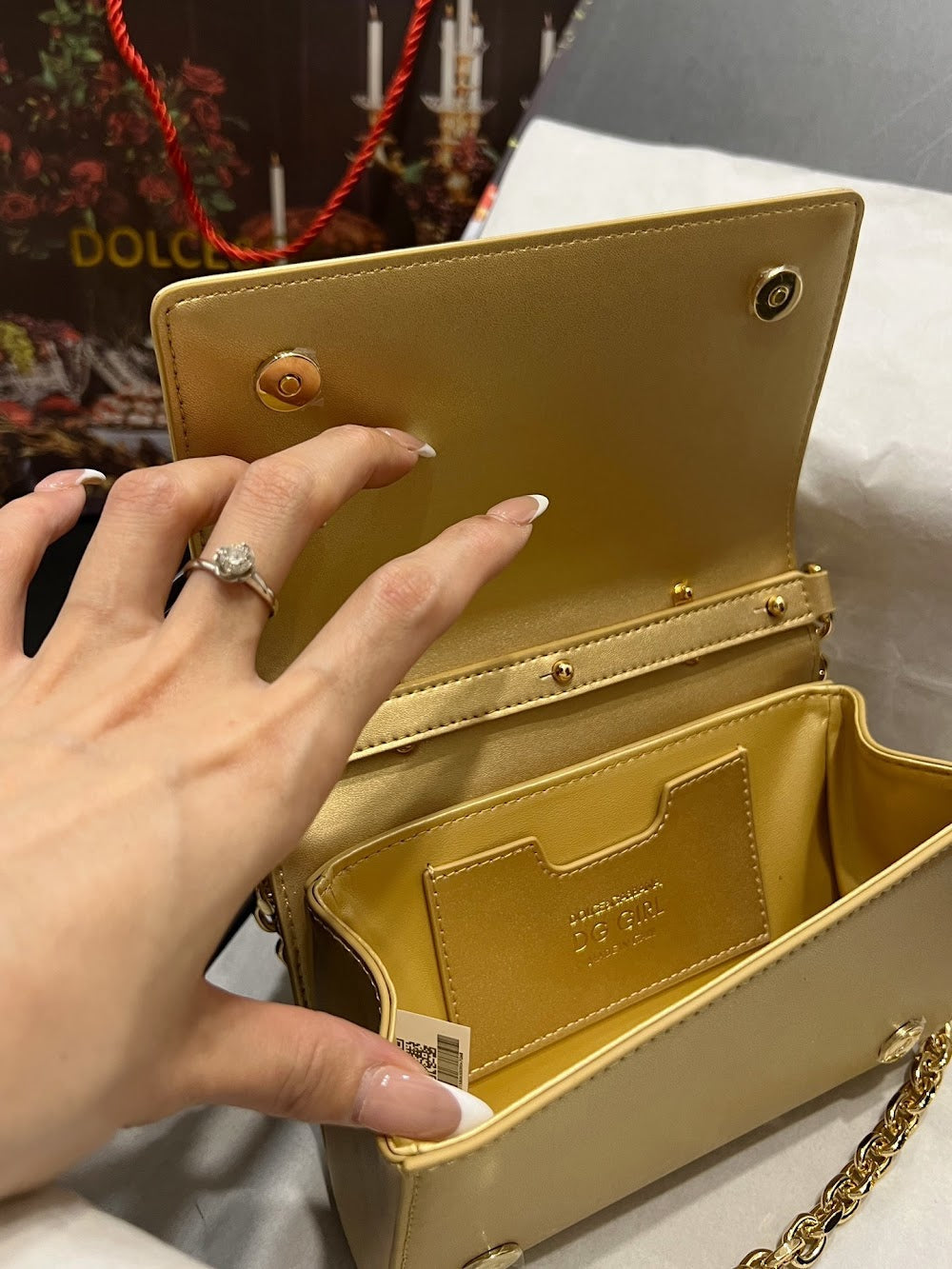 Dragons Bags DGn Luxury Bag --93731