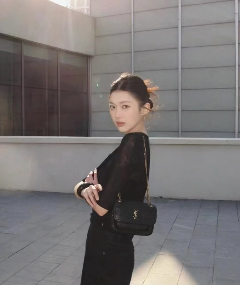 Dragons Bags YSLn Luxury Bag --119462