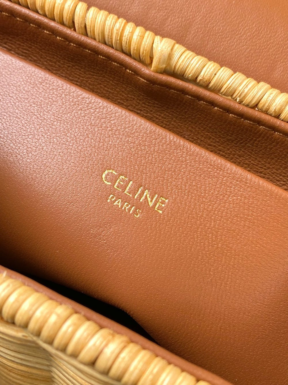 Dragons Bags Celine Luxury Bag --112576