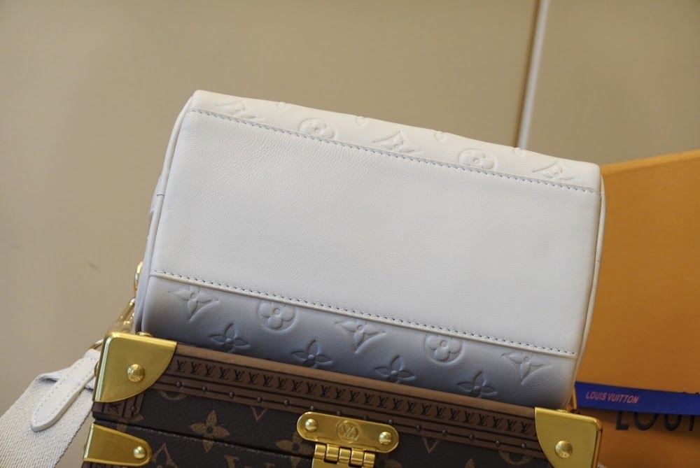 Dragons Bags ln Luxury Bag --66553