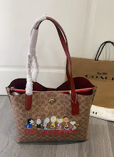 new-luxury-designer-bags-nm6296