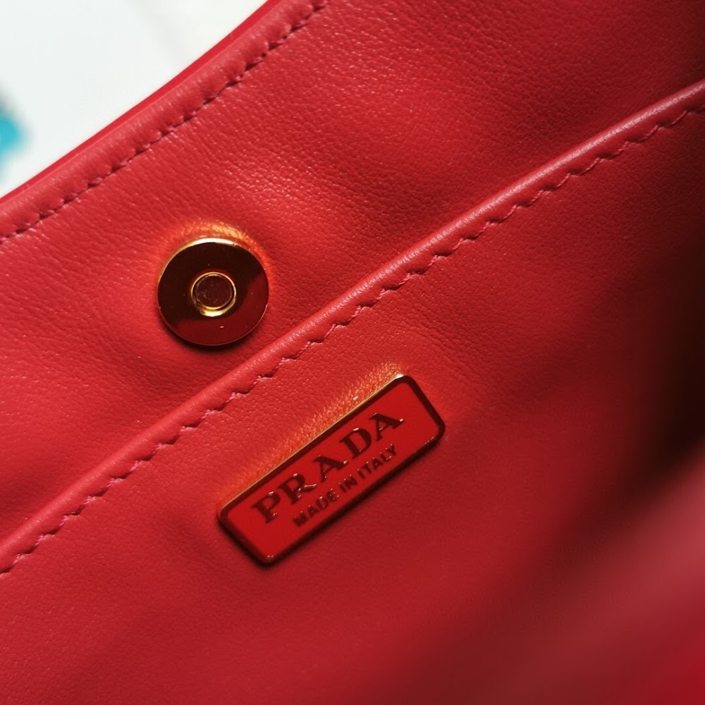 Dragons Bags Pradn Luxury Bag --102136