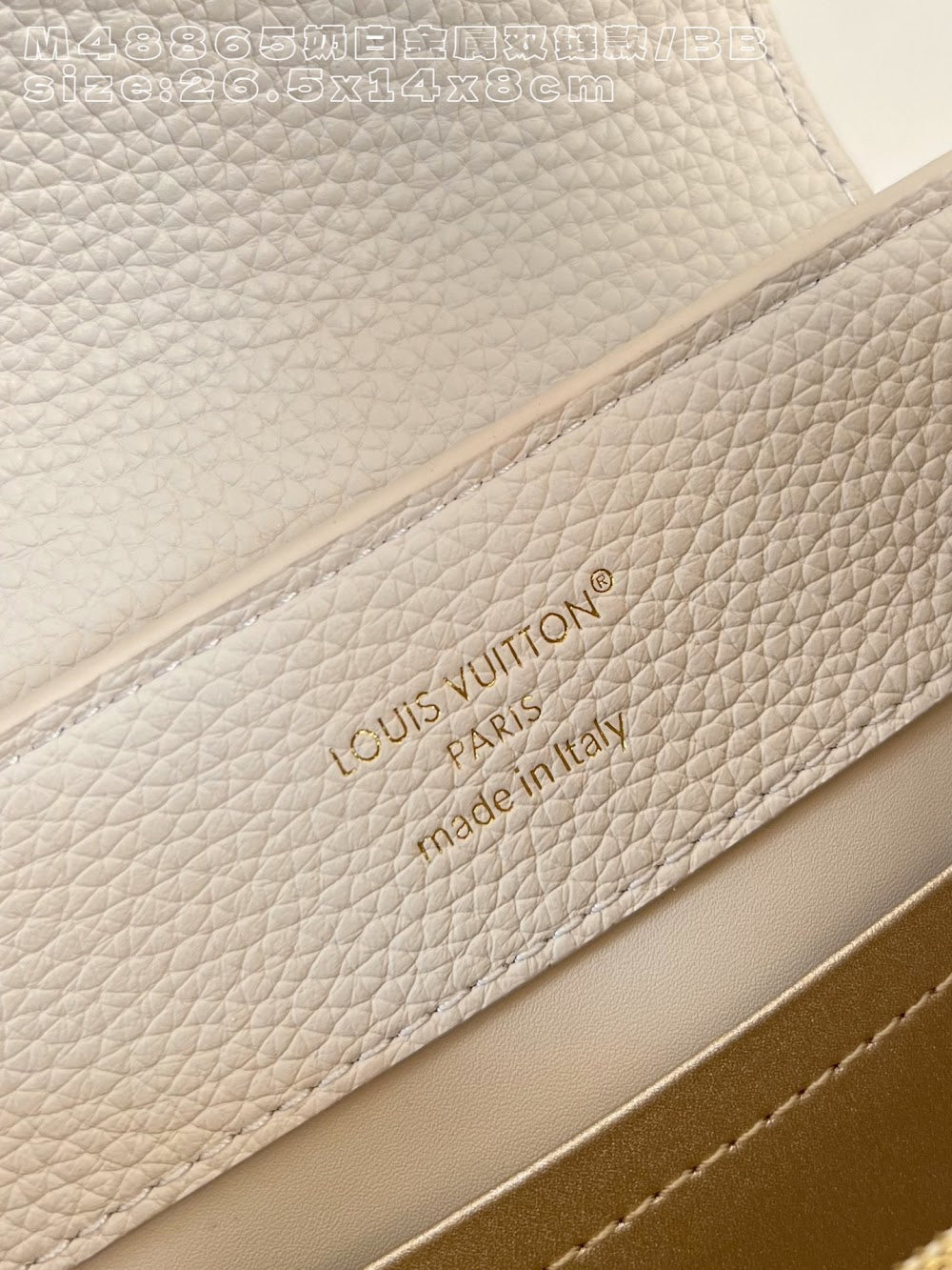 Dragons Bags ln Luxury Bag --95851