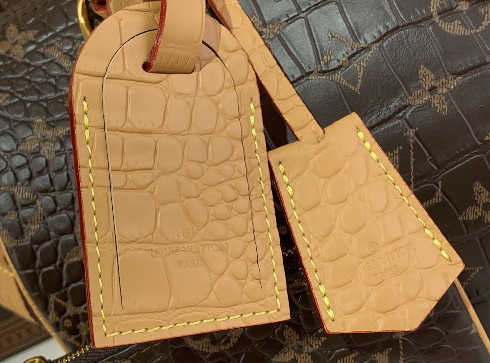 Dragons Bags ln Luxury Bag --69761